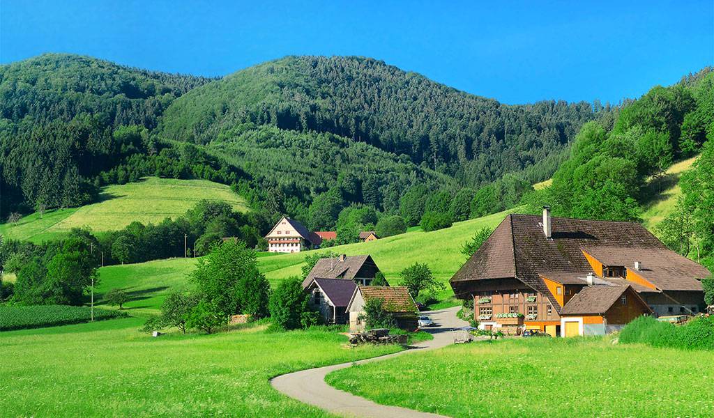 Schwarzwald-Dorf